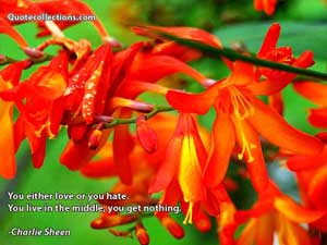 Charlie_Sheen Quotes 1