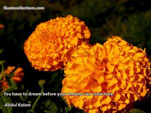 Abdul Kalam Quotes 3
