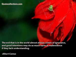 Albert Camus Quotes 6