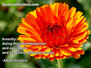 Albert Einstein Quotes 5