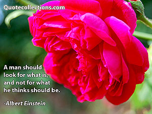 Albert Einstein Quotes 14