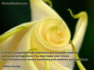 Aldous Huxley Quotes 2