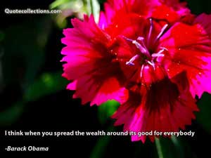 Barack Obama Quotes 5