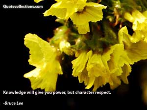 Bruce Lee Quotes 5