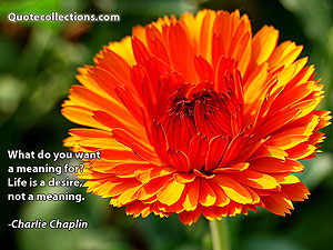 charlie-chaplin Quotes 4