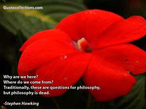 Stephen Hawking Quotes 5