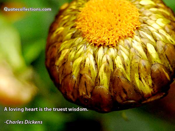 Charles Dickens Quotes1