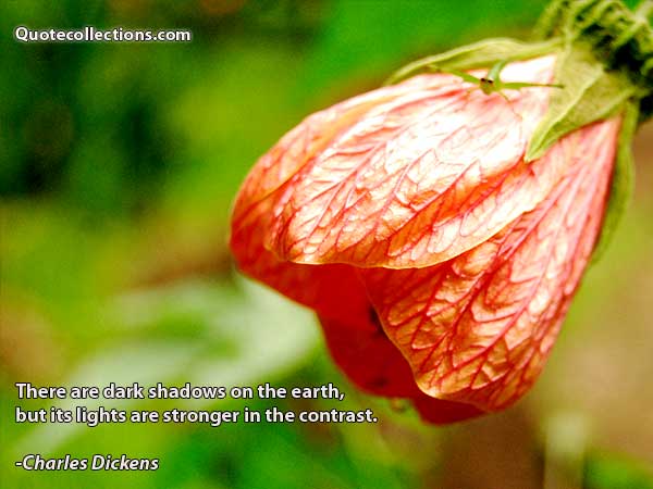 Charles Dickens Quotes7