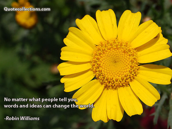 Robin Williams quotes3