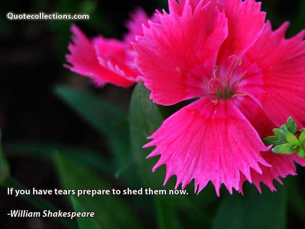William Shakespeare Quotes1