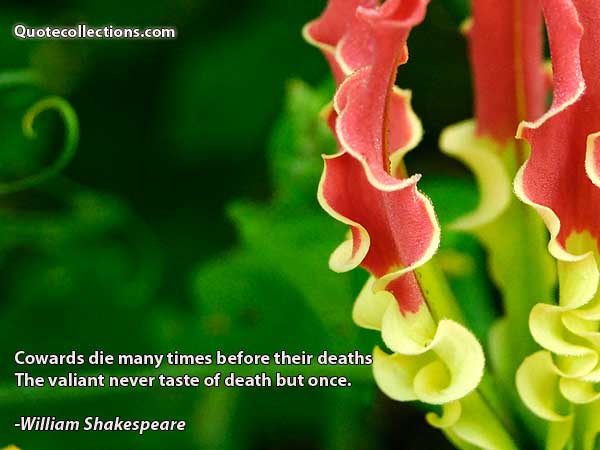 William Shakespeare Quotes3